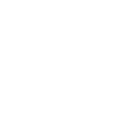 GQ Usados