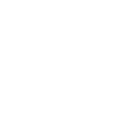 Leapmotor